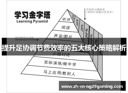 提升足协调节费效率的五大核心策略解析