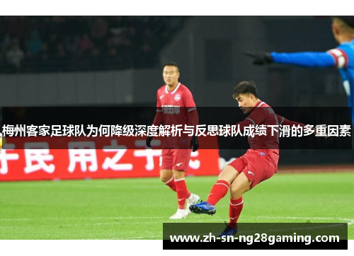 梅州客家足球队为何降级深度解析与反思球队成绩下滑的多重因素