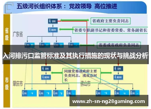 入河排污口监管标准及其执行措施的现状与挑战分析