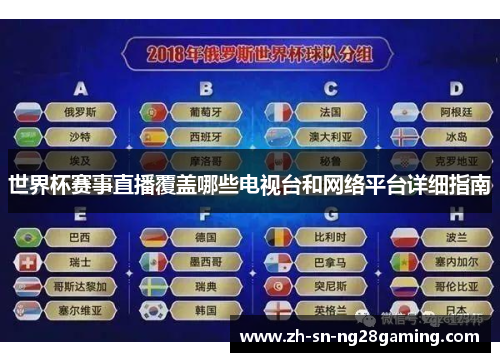 世界杯赛事直播覆盖哪些电视台和网络平台详细指南