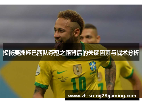 揭秘美洲杯巴西队夺冠之路背后的关键因素与战术分析