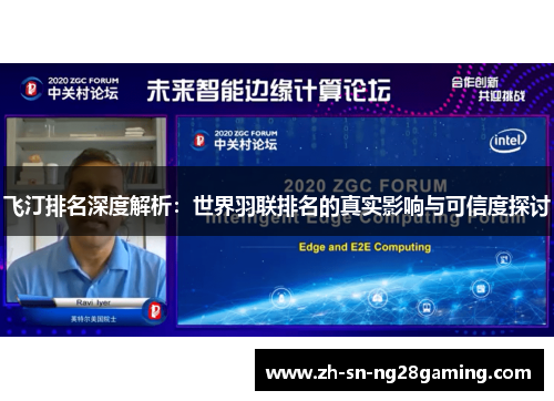 飞汀排名深度解析：世界羽联排名的真实影响与可信度探讨