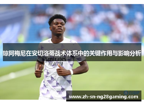 琼阿梅尼在安切洛蒂战术体系中的关键作用与影响分析