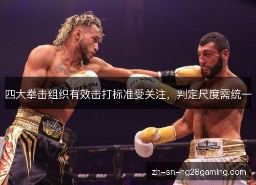 四大拳击组织有效击打标准受关注，判定尺度需统一